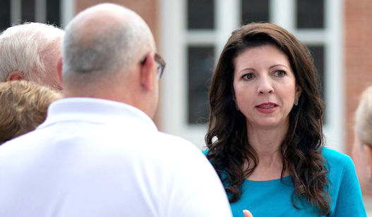 Londrigan announces she'll take another shot at Davis' seat in 2020
